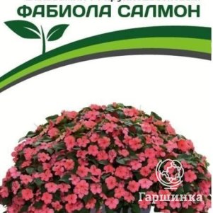 Бальзамин Фабиола Салмон F1 Уоллера крупноцветковый 5 шт. Семена Партнер
Бальзамин Фабиола Салмон F1 Уоллера крупноцветковый 5 шт. Семена Партнер
