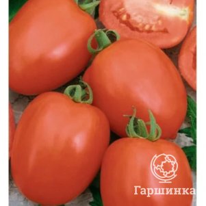 Томат Новичок 0,05 г, Семена Гавриш
Томат Новичок 0,05 г, Семена Гавриш