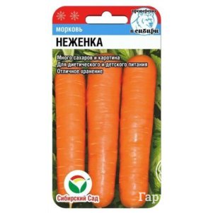 Морковь Неженка 2 г, Семена Сибирский сад
Морковь Неженка 2 г, Семена Сибирский сад