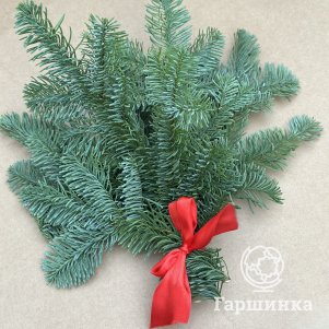 Нобилис (букет из 5 веток пихты) малый 30см
Нобилис (букет из 5 веток пихты) малый 30см