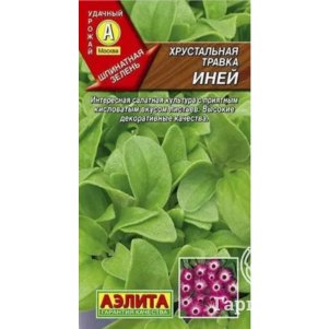 Иней (Хрустальная травка), Семена Аэлита
Иней (Хрустальная травка), Семена Аэлита