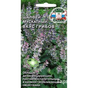Шалфей Вкус грибов мускатный, Семена Седек
Шалфей Вкус грибов мускатный, Семена Седек