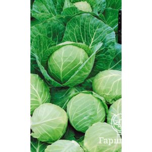 Капуста Сахарный гигант белокочанная Уральский дачник ц/п 0,3 г, Семена Марс
Капуста Сахарный гигант белокочанная Уральский дачник ц/п 0,3 г, Семена Марс