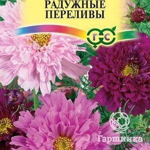 Космея Радужные переливы махровая 0,1 г, Семена Гавриш
Космея Радужные переливы махровая 0,1 г, Семена Гавриш