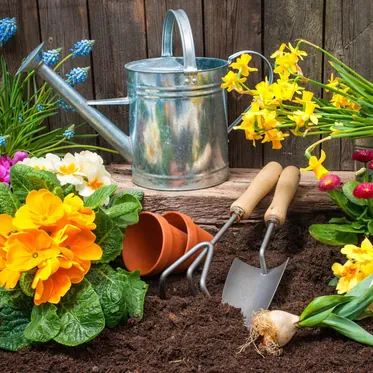 Товары для сада