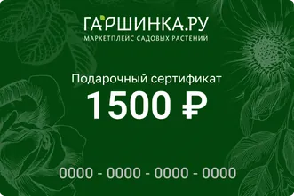 Подарочный сертификат интернет-магазина «Гаршинка.ру» номиналом 1500 рублей