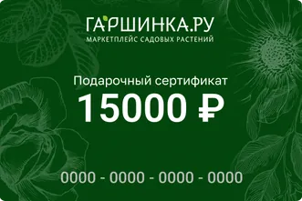 Подарочный сертификат интернет-магазина «Гаршинка.ру» номиналом 15000 рублей