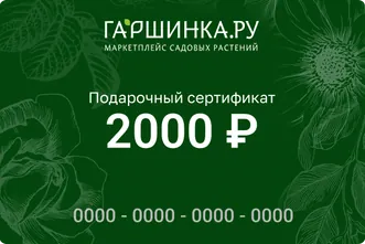 Подарочный сертификат интернет-магазина «Гаршинка.ру» номиналом 2000 рублей