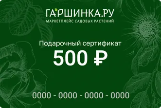 Подарочный сертификат интернет-магазина «Гаршинка.ру» номиналом 500 рублей