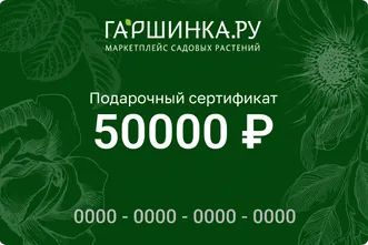 Подарочный сертификат интернет-магазина «Гаршинка.ру» номиналом 50000 рублей