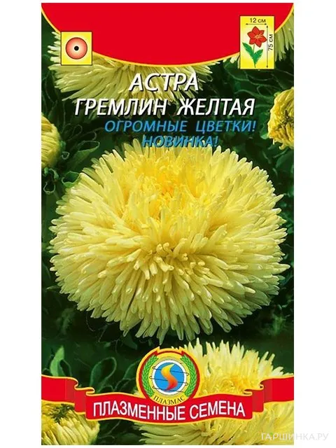 Астра Гремлин желтая (Плазмас)