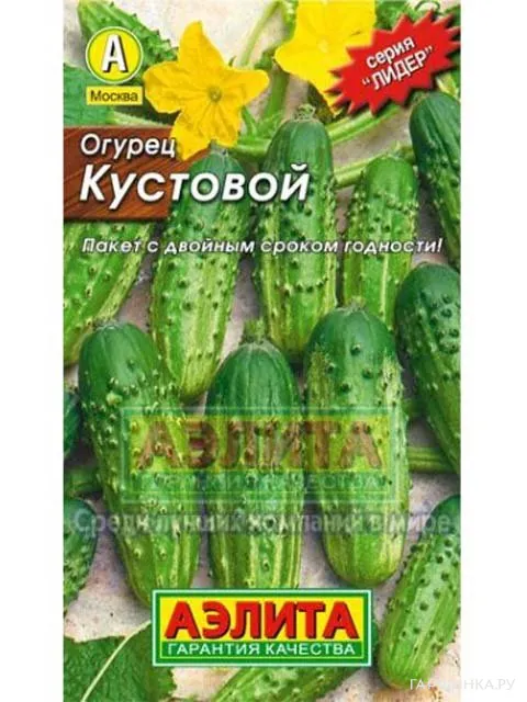 Огурец Кустовой (Аэлита), 0,5 г