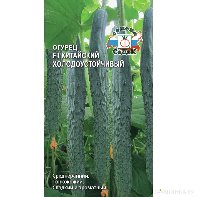 Огурец Китайский Холодоустойчивый F1 ц/п, Семена Седек