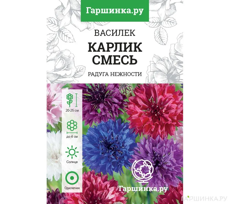 Василек Карлик, смесь пастельных оттенков