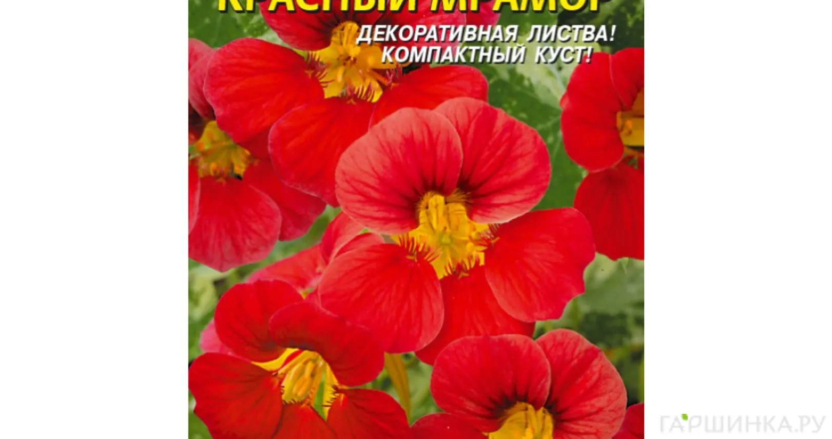 Настурция Красный мрамор ц.п. 6 шт