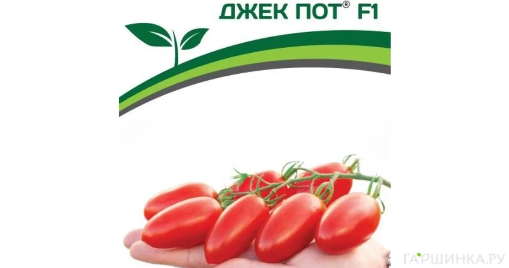 Томат Джек Пот F1 5 шт, Семена Партнер