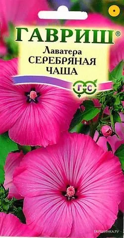 Лаватера Серебряная чаша 0,5 г