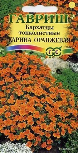 Бархатцы Карина оранжевая тонколистные (Гавриш), 0,05 г