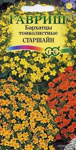 Бархатцы тонколист. Старшайн, смесь (Тагетис) 0,05 г