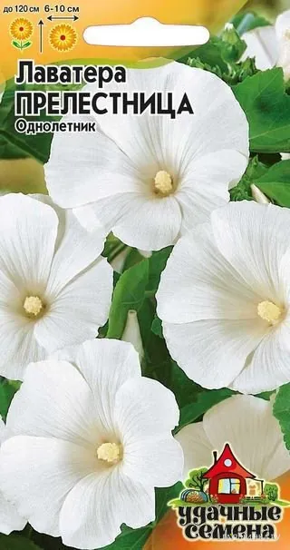 Лаватера Прелестница 0,5 г