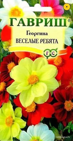 Георгина Веселые ребята 0,3г