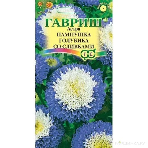 Астра Пампушка черника со сливками 0,3 г