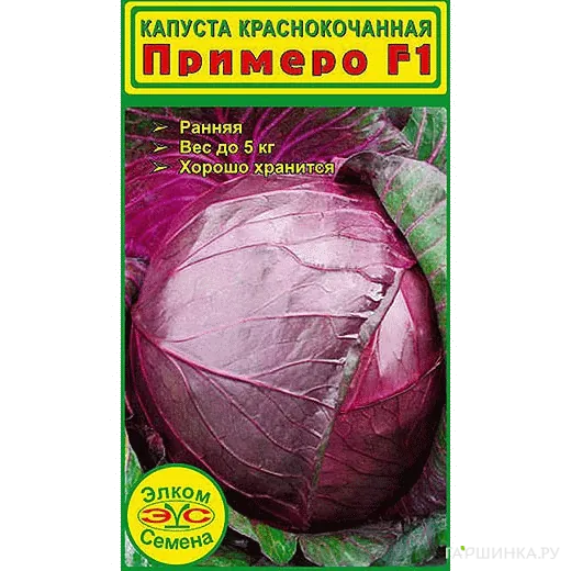 Краснокочанная капуста Примеро F1 10 шт