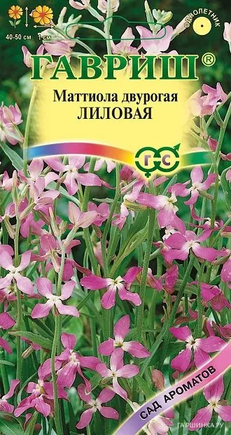 Маттиола двурогая Лиловая 0,5 г