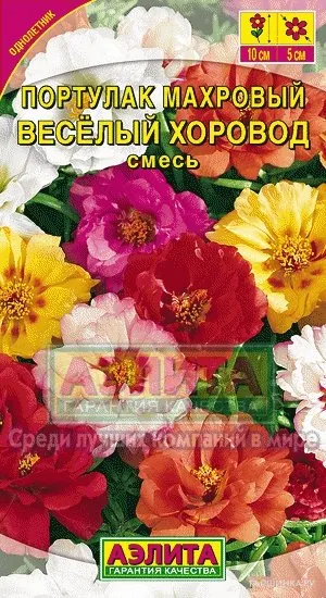 Портулак махровый Веселый хоровод, смесь окрасок