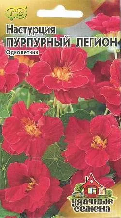 Настурция Пурпурный легион махр. 1,0г