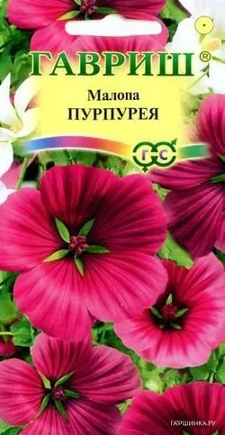 Малопа Пурпурея* 0,1