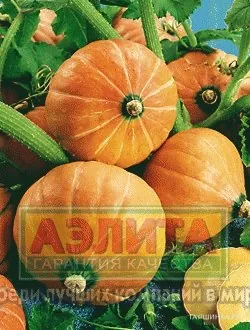 Тыква Россиянка ц/п