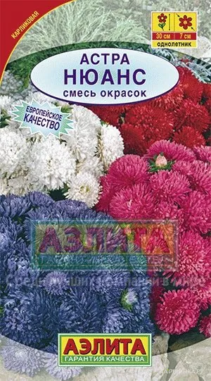 Астра Нюанс карликовая, смесь окрасок ц/п
