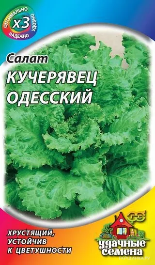 Салат полукочанный Кучерявец Одесский 0,5 г хрустящий