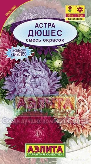 Астра Дюшес, смесь окрасок ц/п