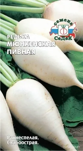 Редька Мюнхенская пивная (МФ,1,6666)