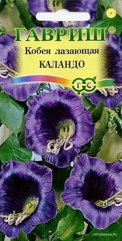 Кобея Каландо лазающая 5 шт, Семена Гавриш