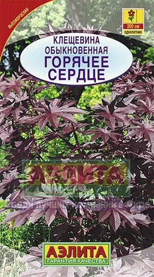 Клещевина обыкновенная Горячее сердце