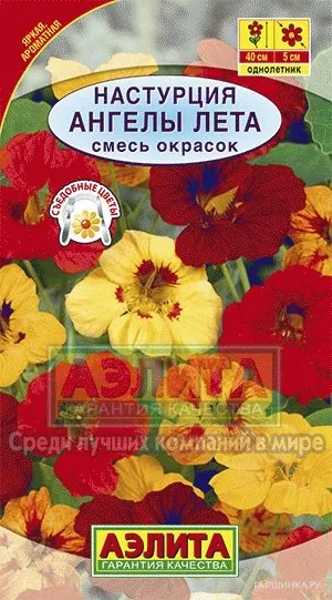 Настурция Ангелы лета, смесь окрасок