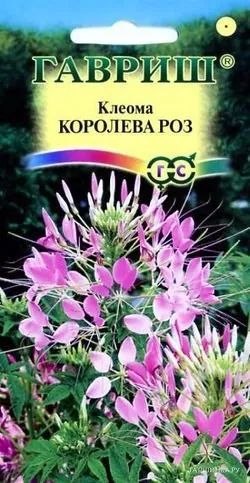 Клеома Королева роз 0,3 г