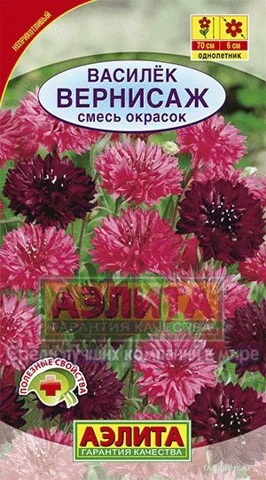 Василек Вернисаж, смесь окрасок ц/п