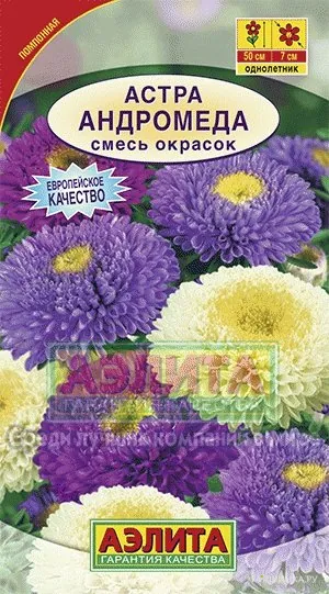Астра Андромеда, смесь окрасок ц/п