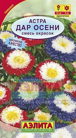 Астра Дар осени, смесь окрасок ц/п