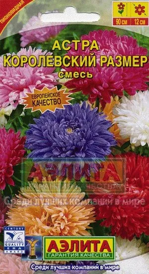 Астра Королевский размер, смесь