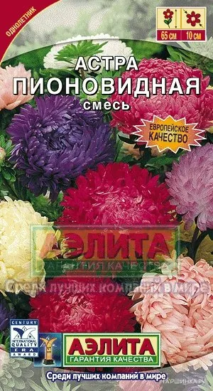 Астра Пионовидная, смесь