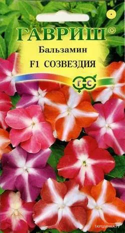 Бальзамин Созвездия Уоллера F1 *, смесь 5 шт.