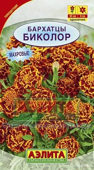 Бархатцы Биколор отклоненные (Плазмас)