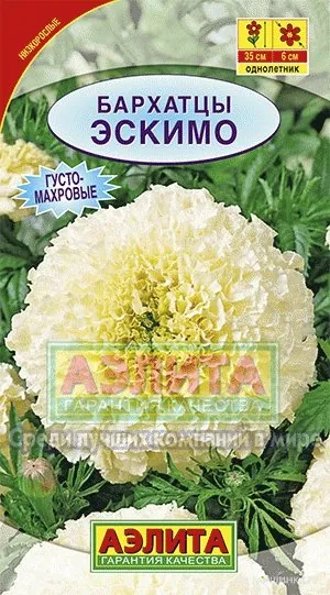 Бархатцы Эскимо прямостоячие (Плазмас), 10шт