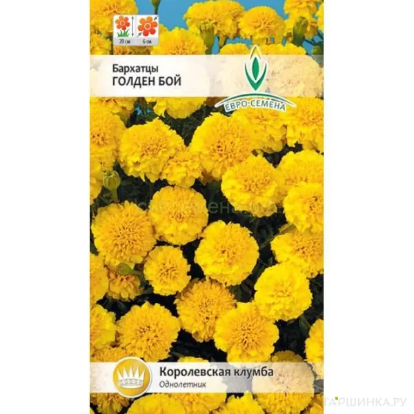 Бархатцы Голден бой отклоненные