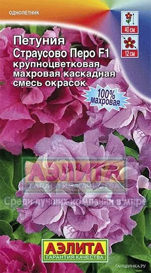 Петуния Страусово перо F1 махровая, смесь окрасок